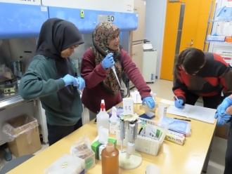 Experiment in progress