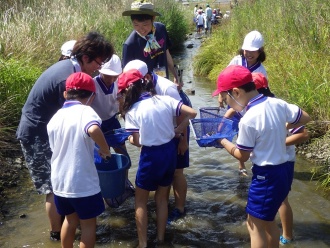 地域の小学校と連携した多自然魚道の生物調査(2017年開催)