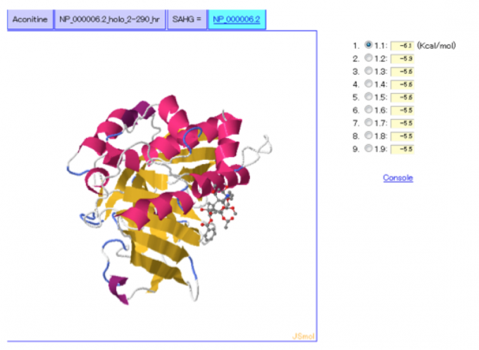 漢方薬成分化合物とヒトのタンパク質の結合シミュレーション