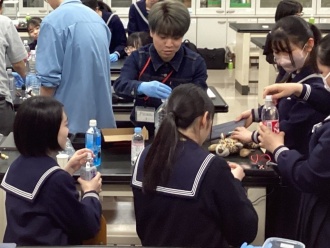 実験の様子