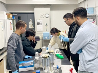 Experiment in progress